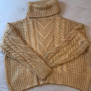 Charolette Russe turtleneck sweater
